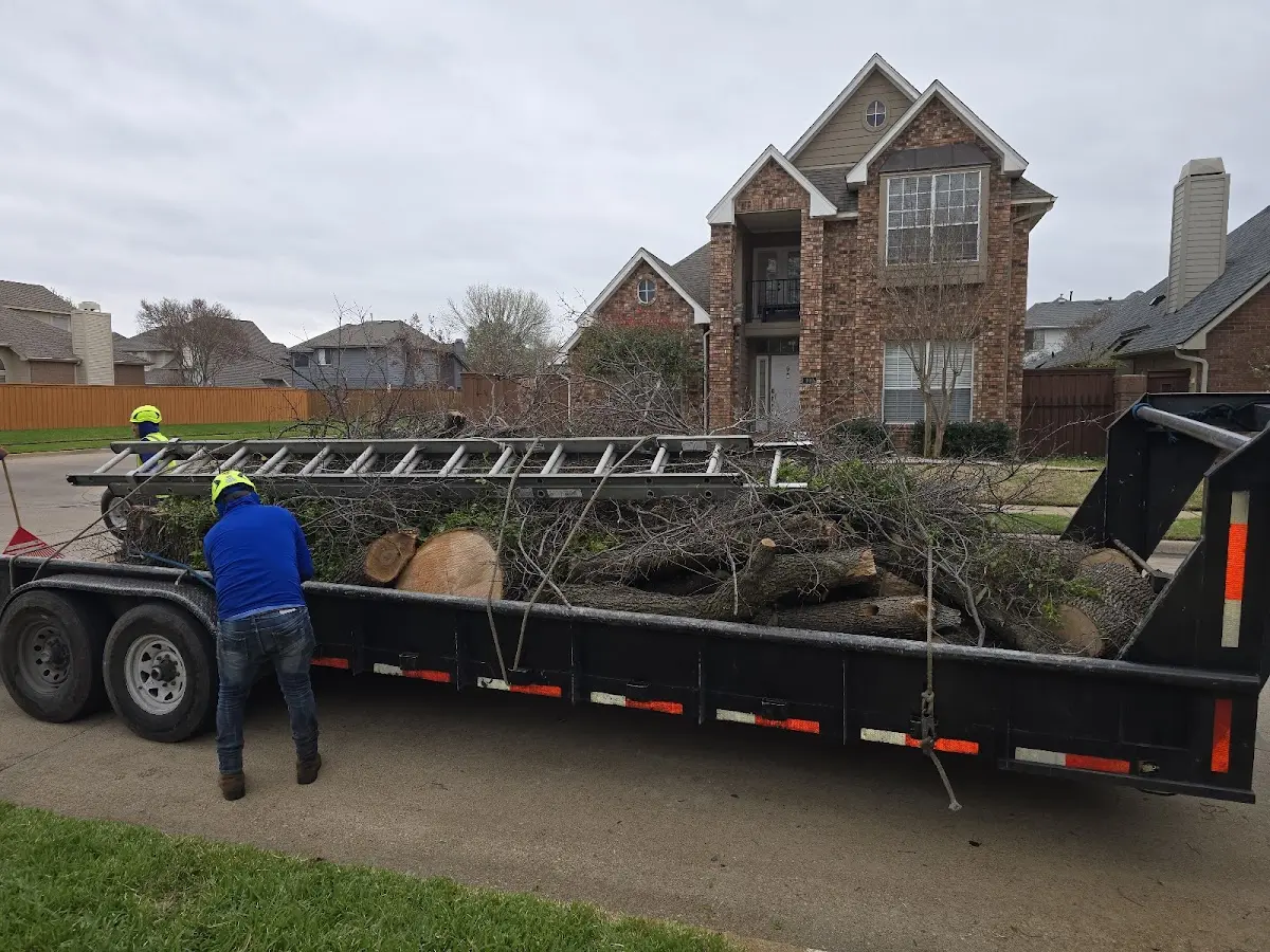 Expert Lot Clearing with proper safety equipment in Steedman